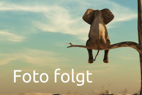 Mitarbeiter Foto Folgt